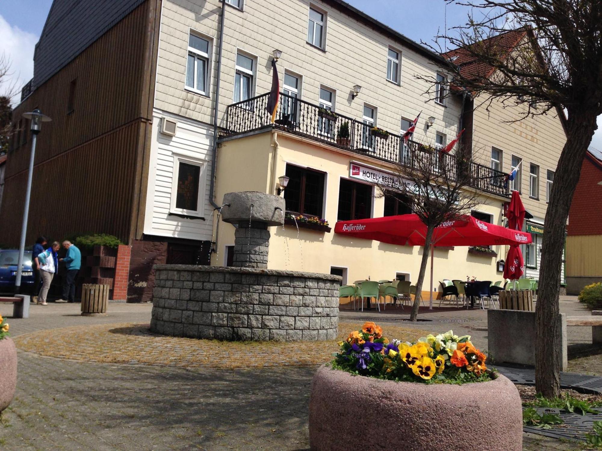 Hotel & Restaurant Druidenstein Trautenstein Extérieur photo
